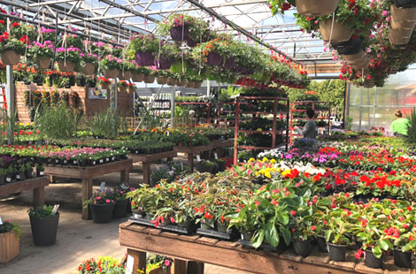centre jardin lauzon interieur